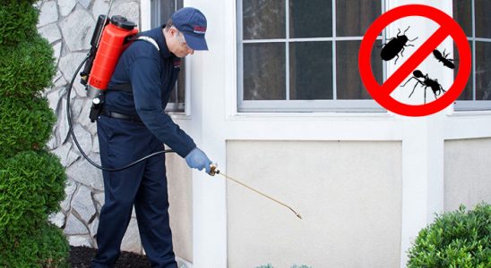 Arhavi Tahtakurusu İlaçlama böcek ilaçlama ve haşere kontrolü — ilaclama-tr.com